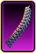Spine.png